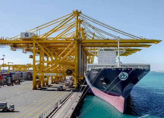 Jebel Ali Dubai UAE to India cargo freight